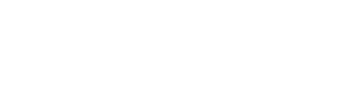 My WordPress Website